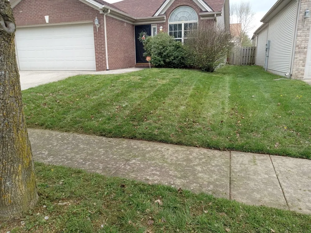Professional outdoor landscaping for year-round maintenance in Lexington-Fayette, KY by Little.Louis Lawn & Landscape