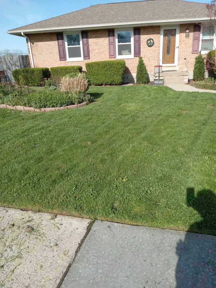 Expert yard cleanup service for year-round maintenance in Lexington-Fayette, KY by Little.Louis Lawn & Landscape