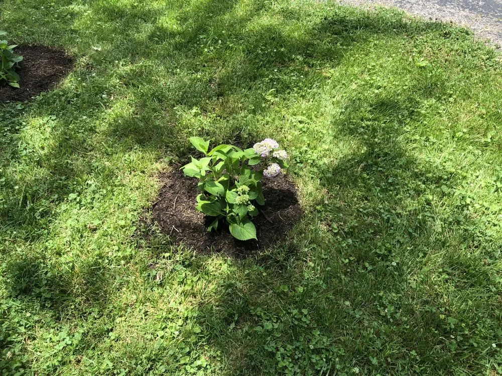 Trusted landscape installation for homes in Lexington-Fayette, KY by Little.Louis Lawn & Landscape