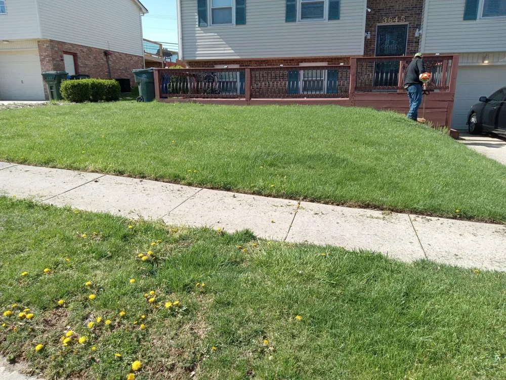 Expert outdoor landscaping in Lexington-Fayette, KY by Little.Louis Lawn & Landscape