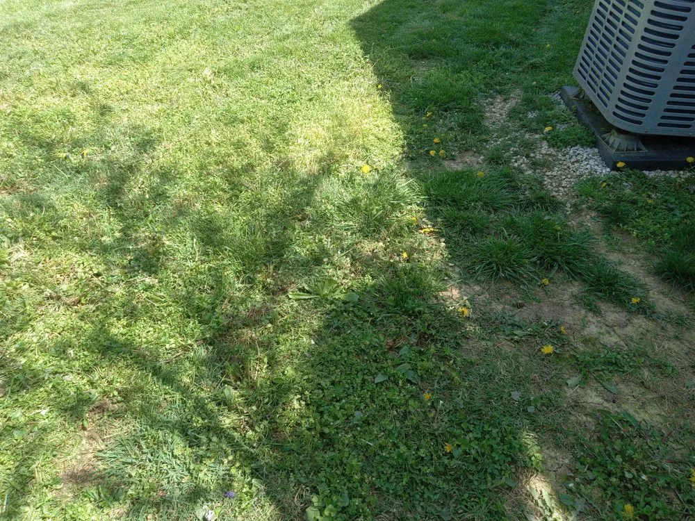 Local lawn mowing service experts serving Lexington-Fayette, KY - Little.Louis Lawn & Landscape