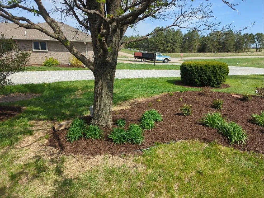 Local yard cleanup service in Beatrice, NE - Littleman Lawn and Landscape