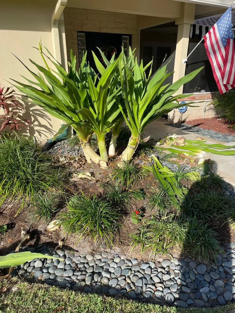 Local lawn care service in Ocean Ridge, FL by Littlemen Big Mowers