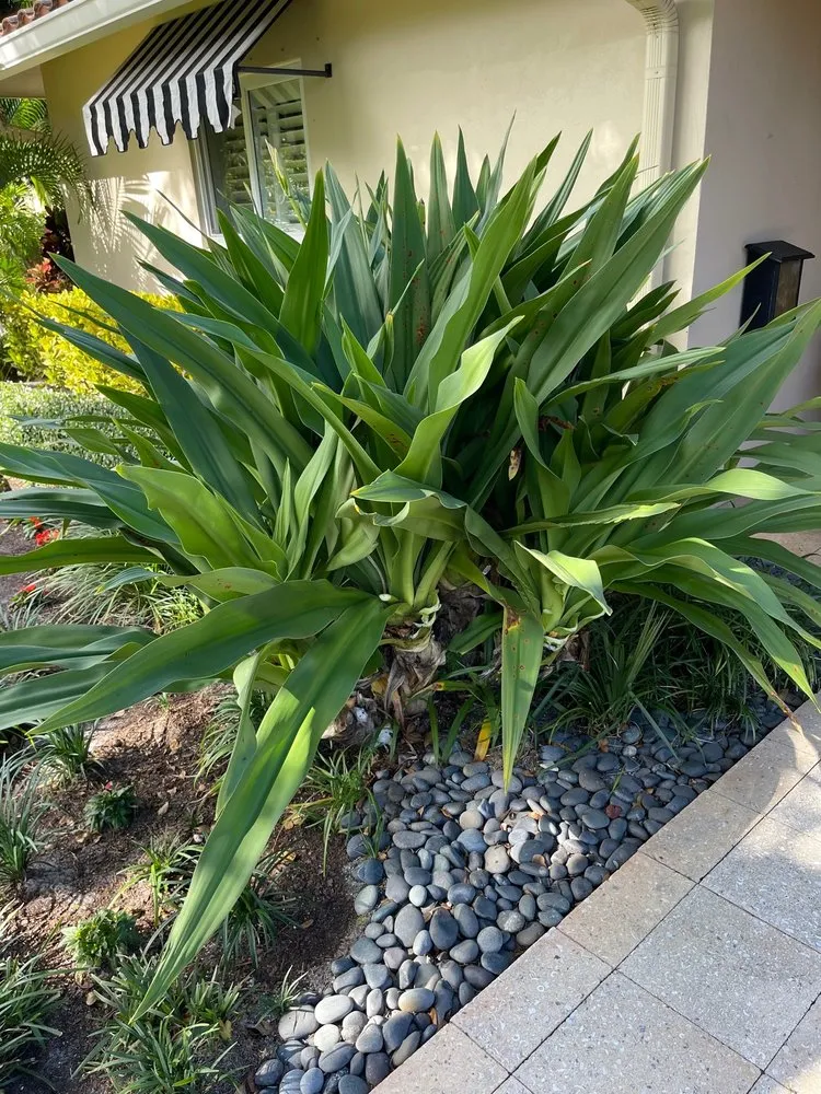 Top-rated yard maintenance experts serving Ocean Ridge, FL - Littlemen Big Mowers