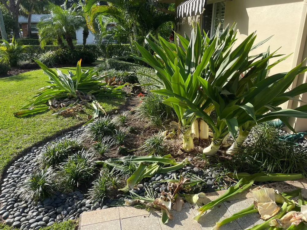 Professional lawn mowing service for beautiful yards in Ocean Ridge, FL by Littlemen Big Mowers