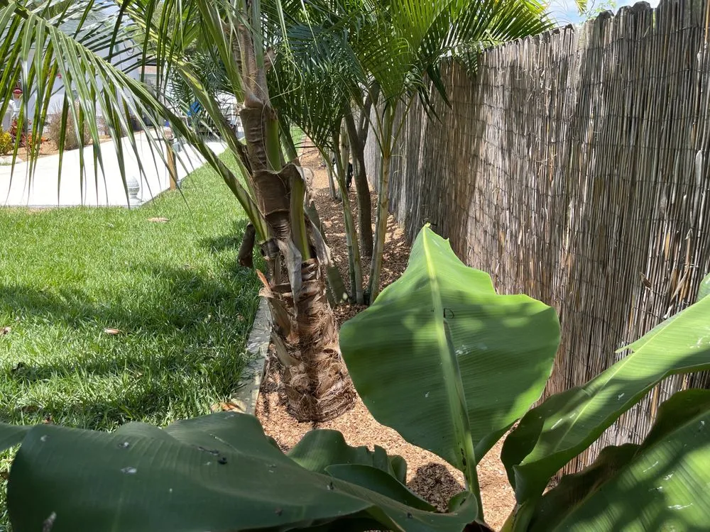 Local yard maintenance experts serving Ocean Ridge, FL - Littlemen Big Mowers