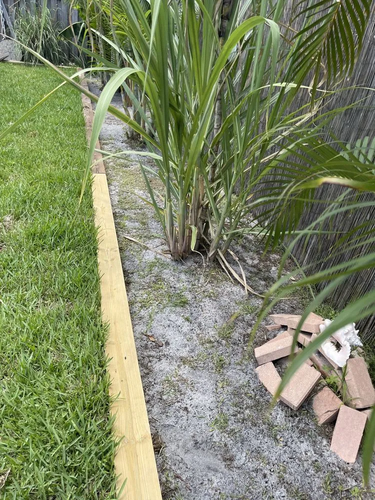 Expert yard cleanup service for year-round maintenance across Ocean Ridge, FL - Littlemen Big Mowers