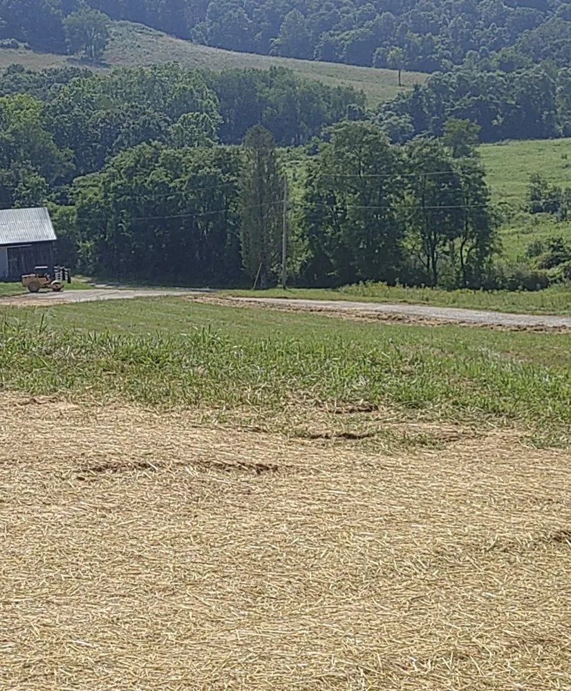 Affordable yard maintenance near you in Pomeroy, OH by Little's Landscaping & Excavation