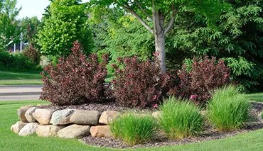 Affordable yard maintenance in McDonald, PA - Littles Landscaping