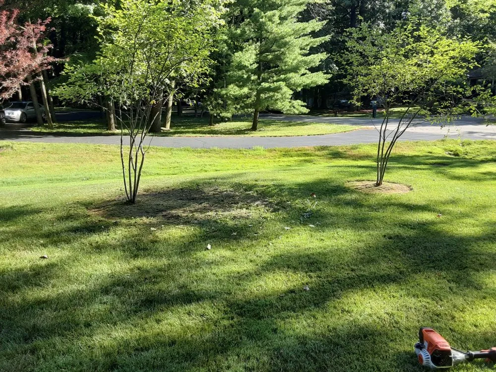 Top-rated landscape design for homes in Pontiac, MI by Little's Lawn & Landscaping