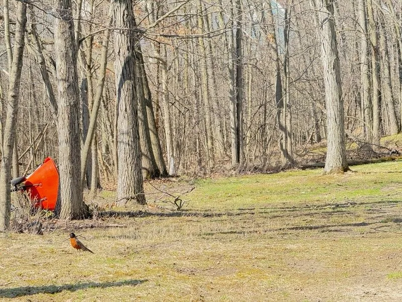 Top-rated lawn mowing service with custom design in Pontiac, MI by Little's Lawn & Landscaping