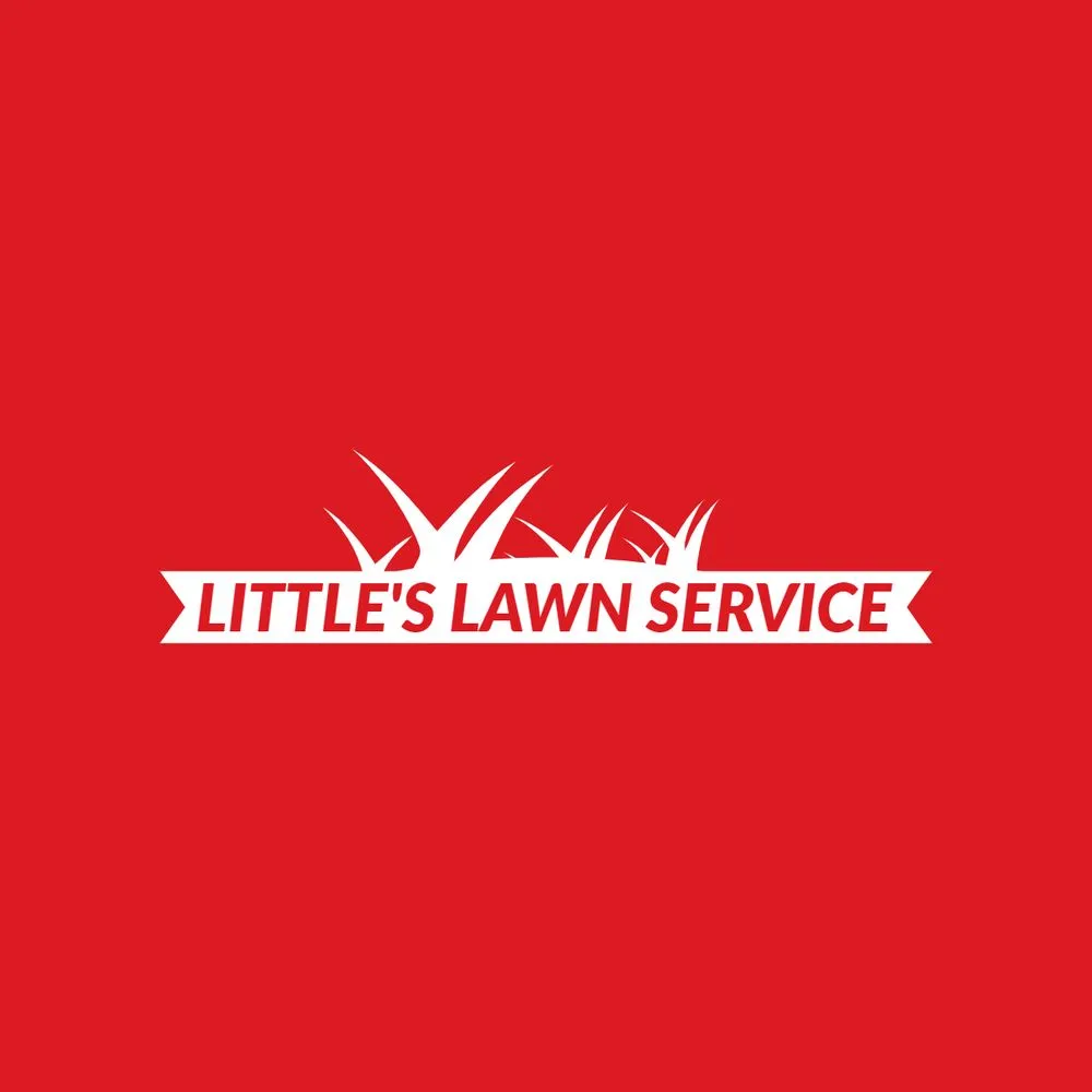 Trusted yard cleanup service experts serving Enchanted Oak, TX - Little's Lawn Service