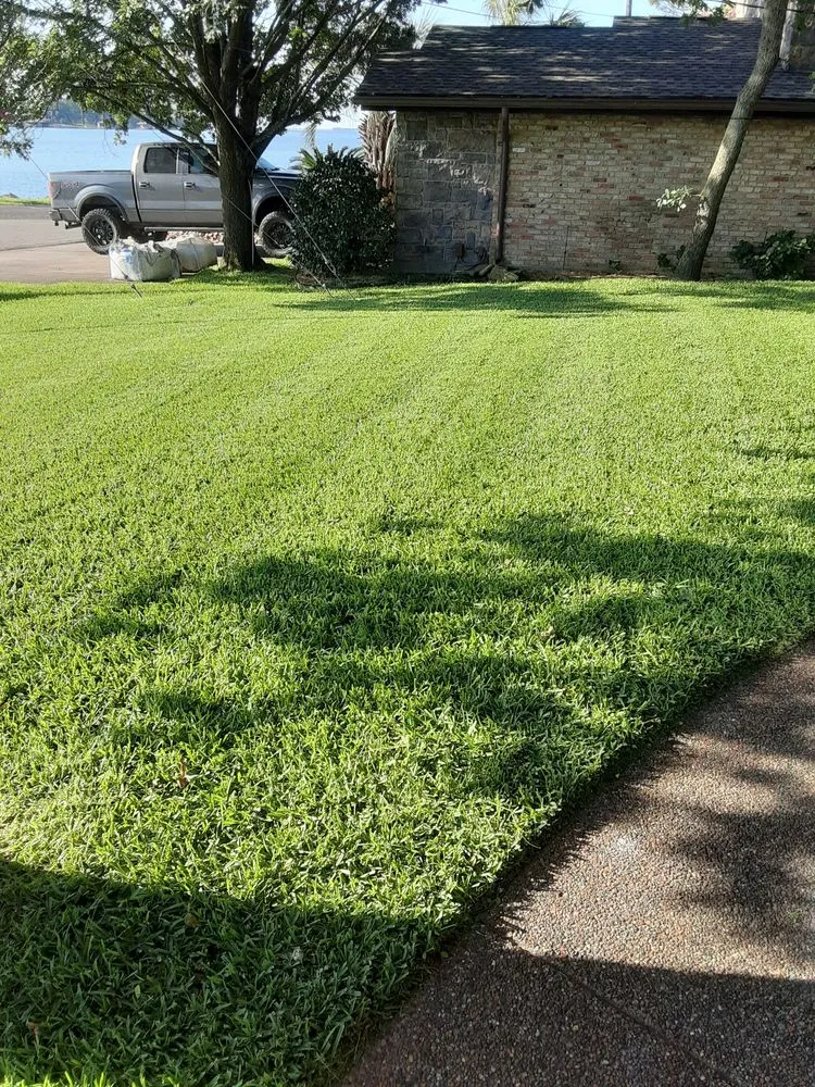 Reliable yard cleanup service in Mabank, TX by Little's Lawn Service