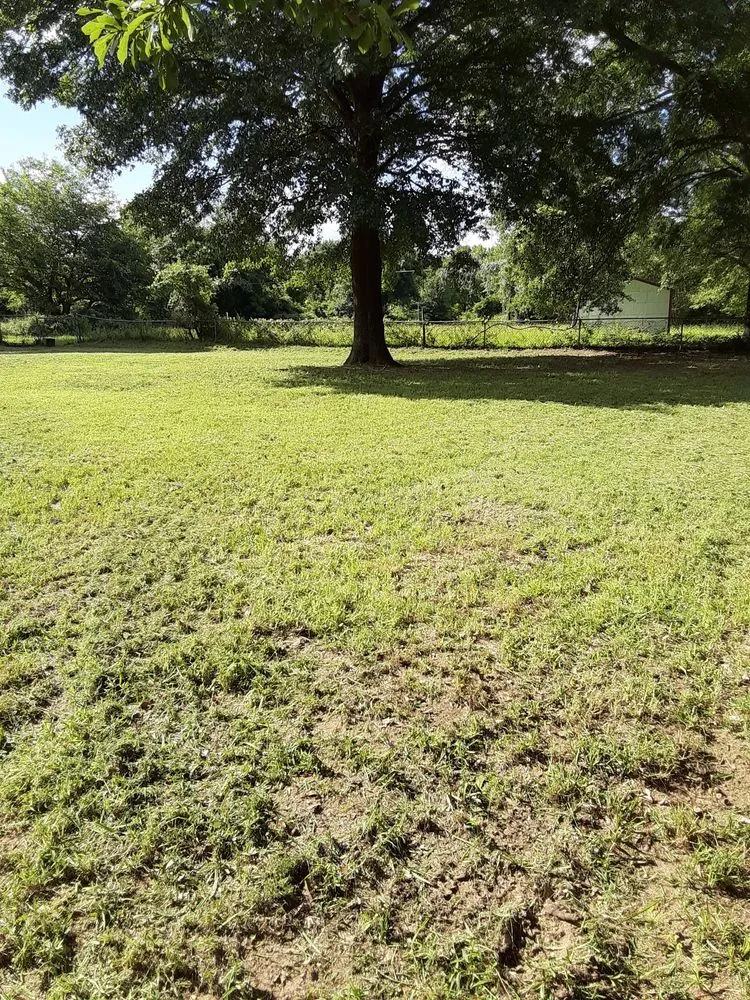 Top-rated outdoor landscaping in Mabank, TX - Little's Lawn Service