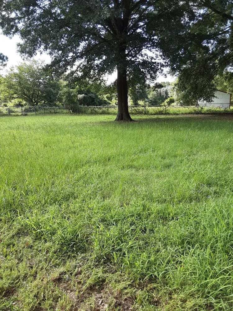 Professional landscaping services in Mabank, TX - Little's Lawn Service