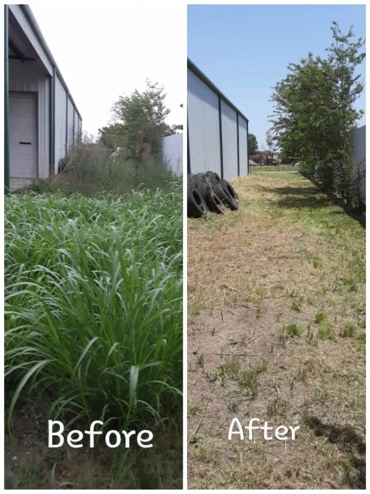 Local yard cleanup service in Mabank, TX - Little's Lawn Service