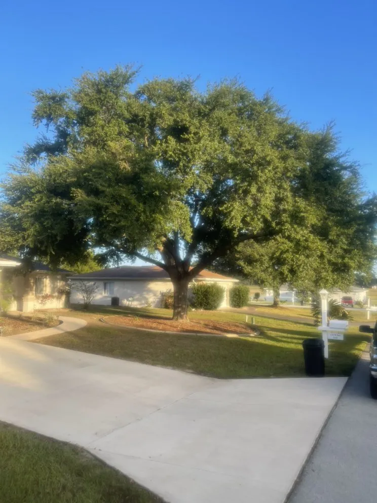 Top-rated landscape design with custom design across Ocala, FL - Little's Services