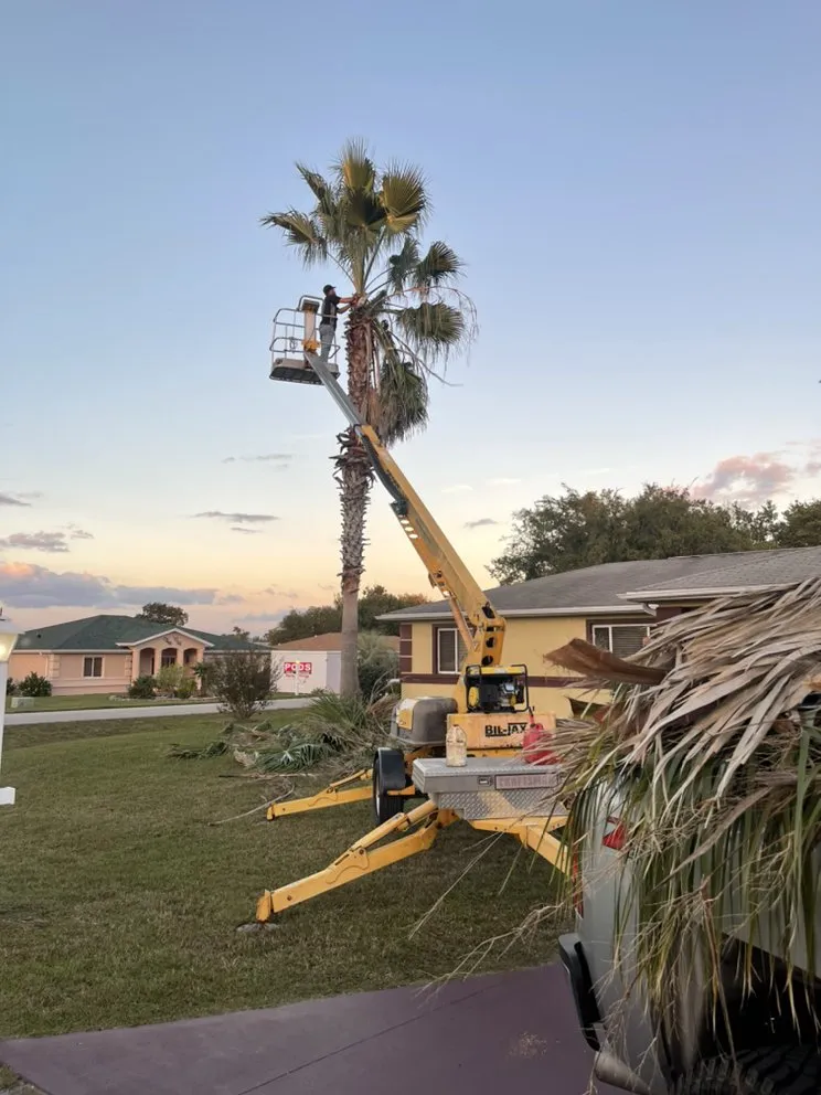 Affordable landscape installation near you in Ocala, FL by Little's Services