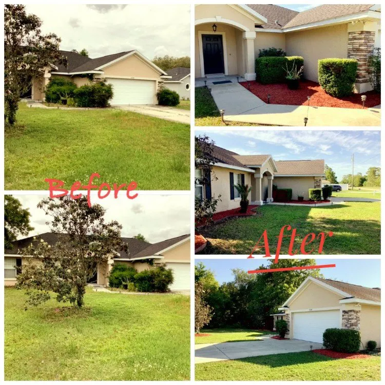 Professional landscape design in Ocala, FL - Little's Services