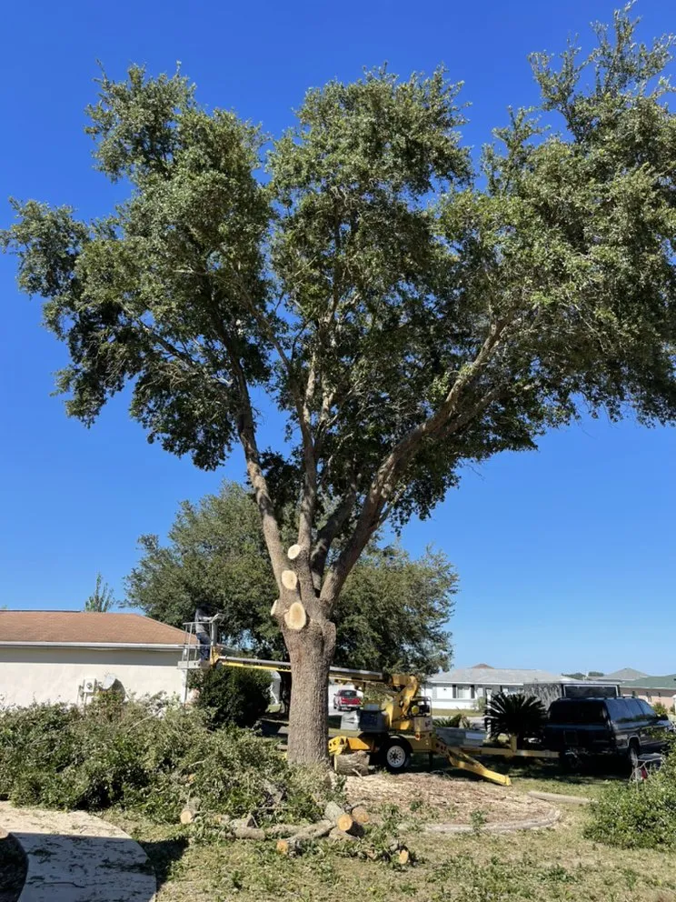 Affordable landscaping services in Ocala, FL by Little's Services