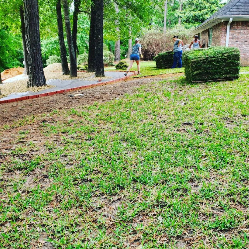 Professional outdoor landscaping for residential properties in Flint, TX by Littlewild Landscaping