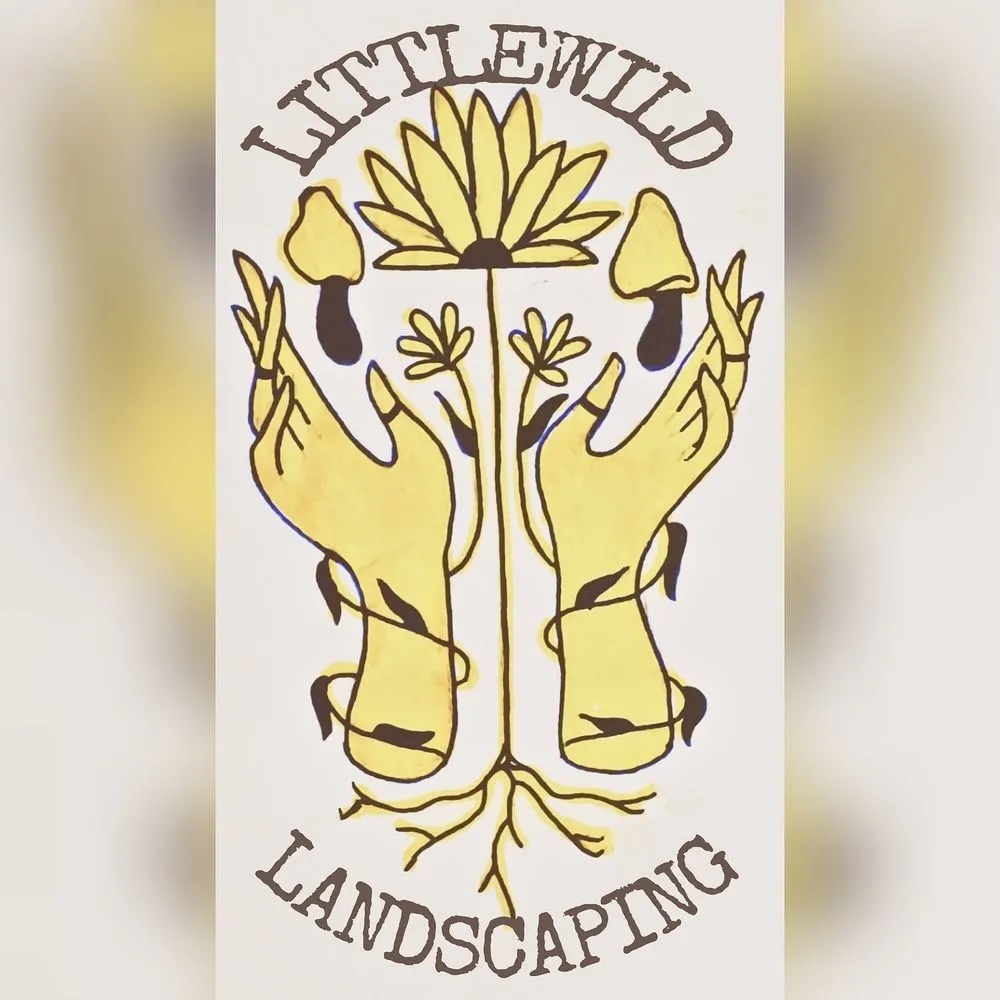 Custom landscaping services in Flint, TX by Littlewild Landscaping