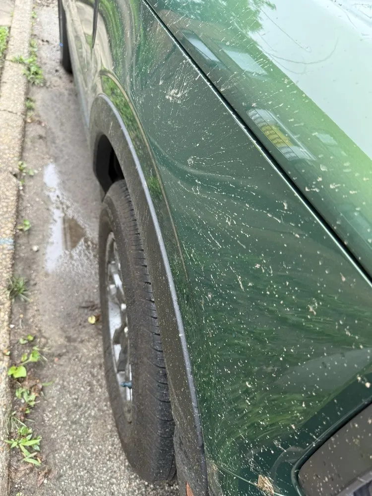 Custom garden landscaping for outdoor upgrades in Evansville, IN by Litton's Lawn & Landscape