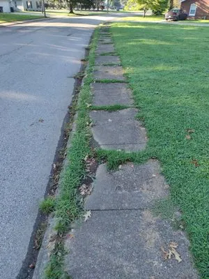 Litton's Lawn & Landscape Logo