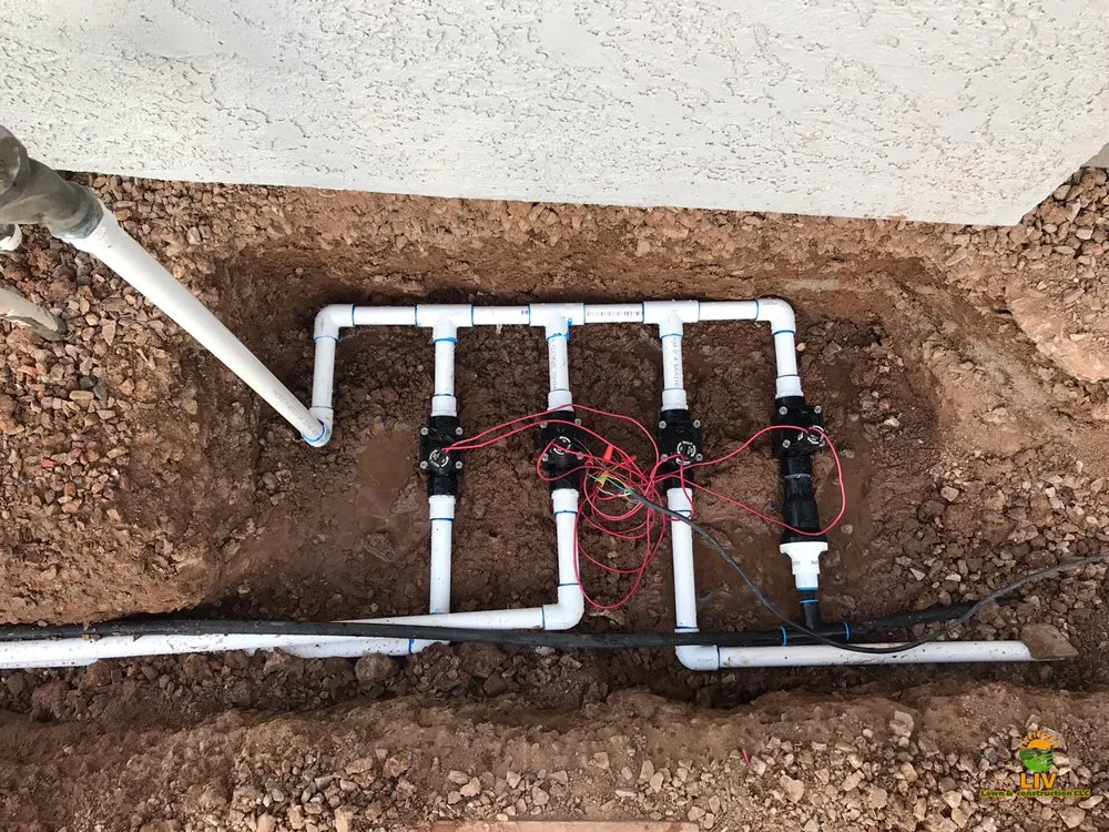 Professional outdoor landscaping for outdoor upgrades in Chandler, AZ by LIV Lawn and Construction