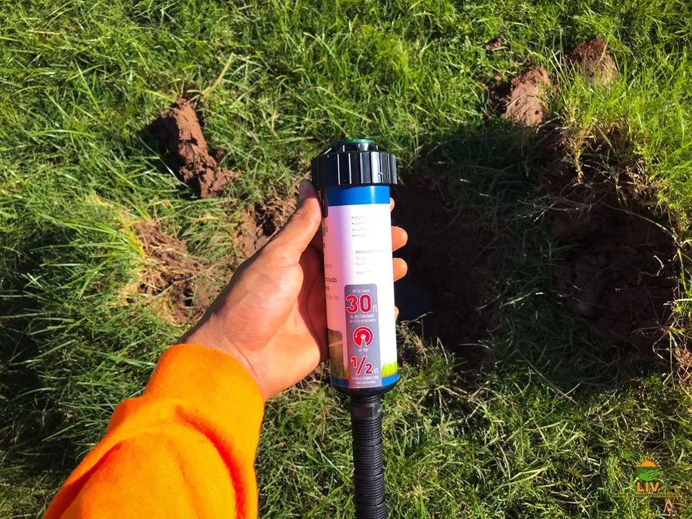 Trusted yard maintenance for homes across Chandler, AZ - LIV Lawn and Construction