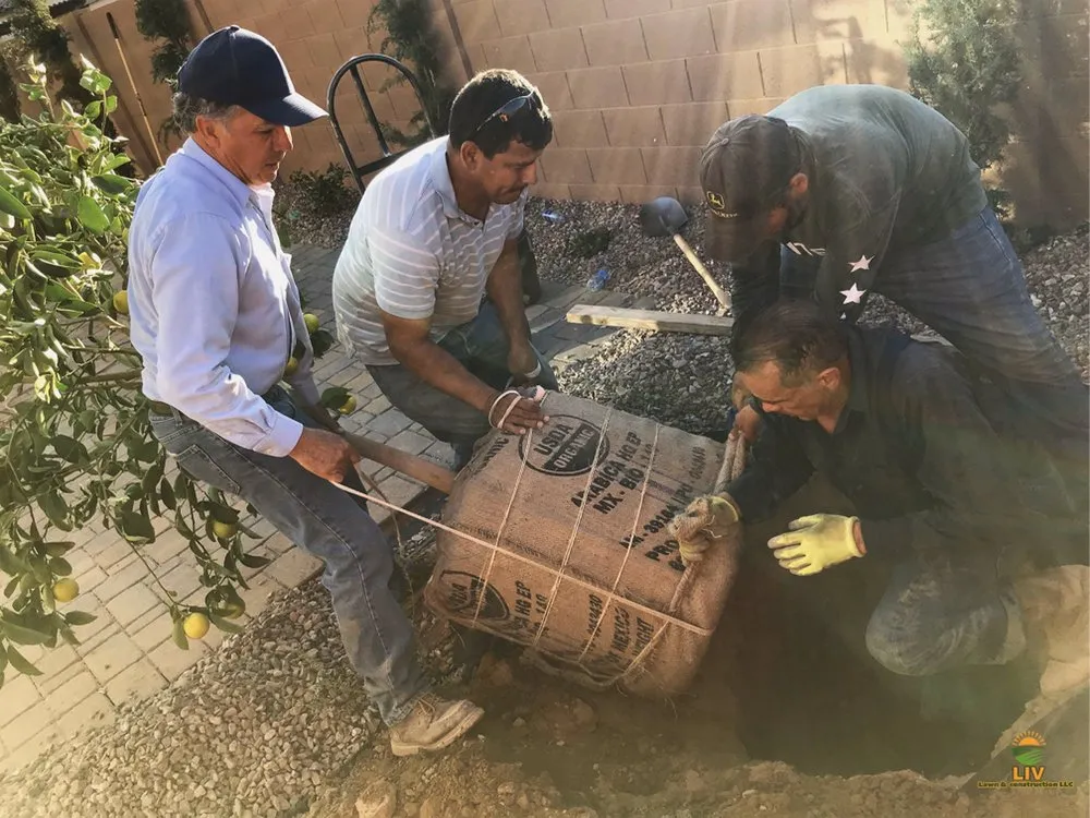 Professional landscape installation experts serving Chandler, AZ - LIV Lawn and Construction