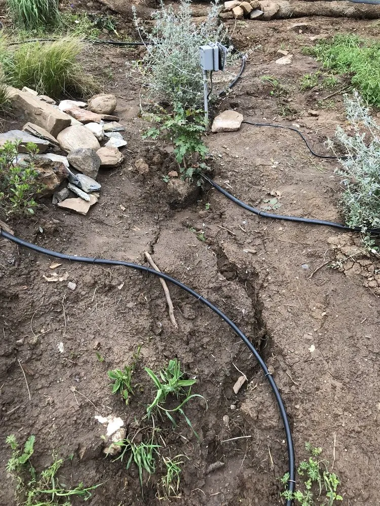 Professional lawn care service experts serving Angels Camp, CA - Livanos Landscaping