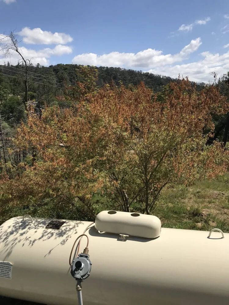 Local yard maintenance in Angels Camp, CA - Livanos Landscaping