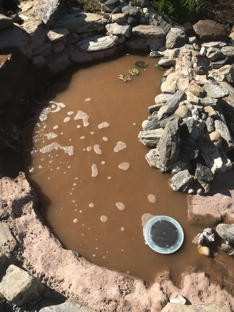 Local yard maintenance for year-round maintenance across Angels Camp, CA - Livanos Landscaping