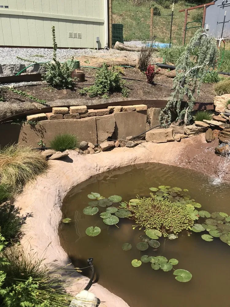 Top-rated yard maintenance in Angels Camp, CA - Livanos Landscaping