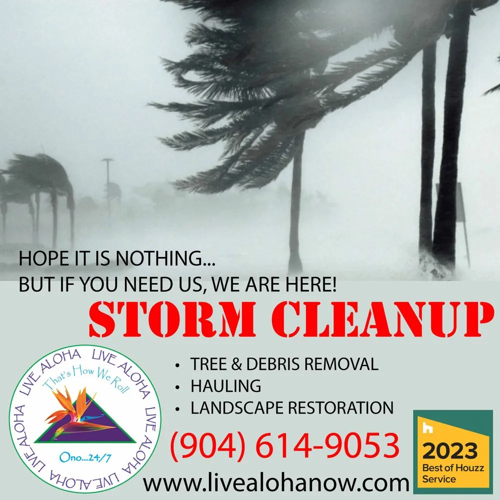 Local landscape design experts serving St. Augustine, FL - Live Aloha Landscapes