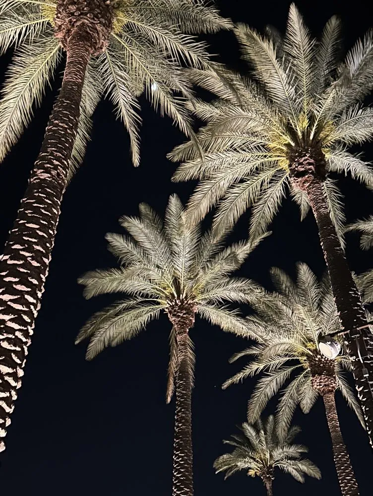 Expert outdoor landscaping experts serving St. Augustine, FL - Live Aloha Landscapes