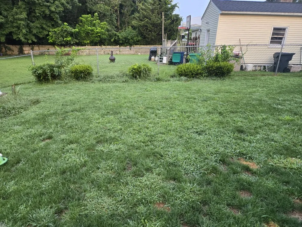 Trusted landscaping services for homes in Rehoboth, MA by Live Earth New England