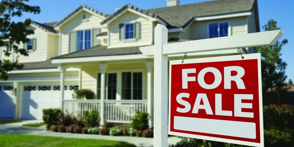 Affordable residential landscaping for outdoor upgrades in Rehoboth, MA by Live Earth New England