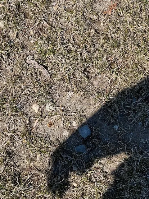 Reliable yard maintenance in Rehoboth, MA - Live Earth New England