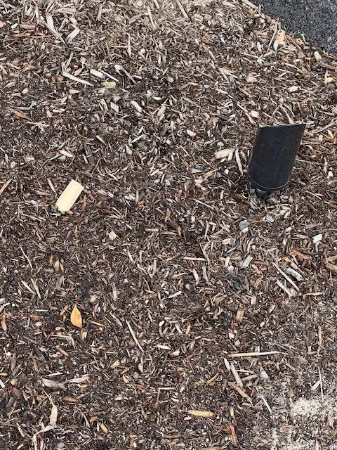 Trusted landscaping services experts serving Rehoboth, MA - Live Earth New England