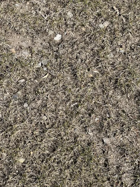 Trusted yard maintenance experts serving Rehoboth, MA - Live Earth New England