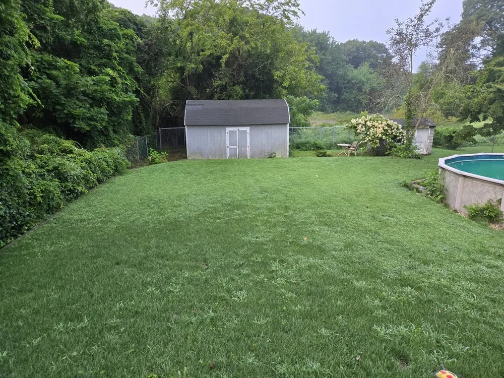 Trusted landscaping services experts serving Rehoboth, MA - Live Earth New England