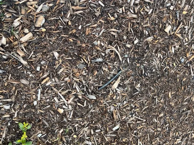 Top-rated lawn care service near you across Rehoboth, MA - Live Earth New England