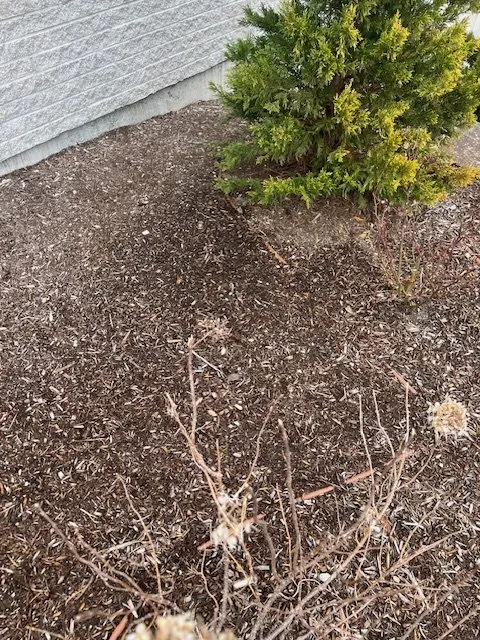 Reliable outdoor landscaping experts serving Rehoboth, MA - Live Earth New England