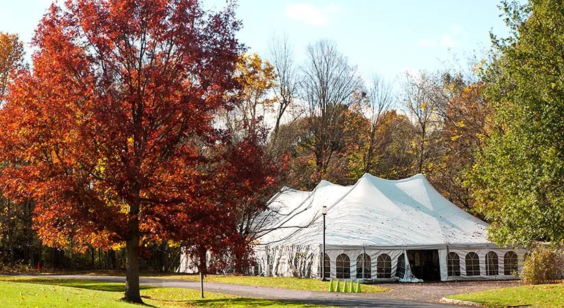 Affordable lawn care service experts serving Rehoboth, MA - Live Earth New England