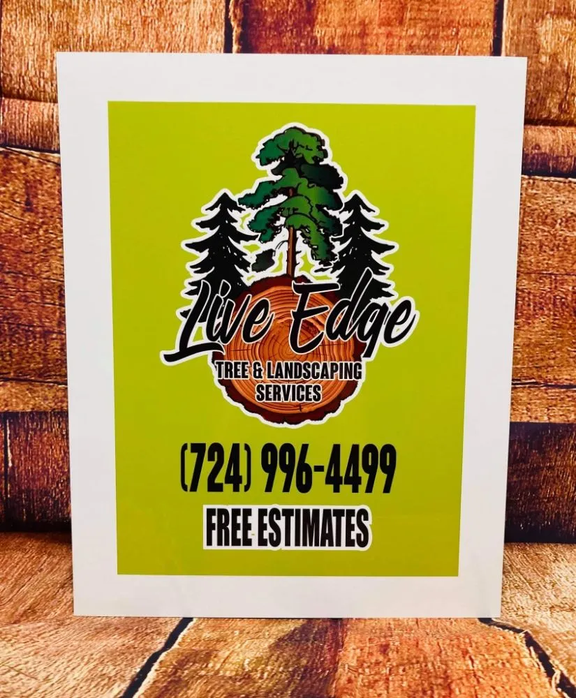 Top-rated landscape design in Butler, PA - Live Edge Tree & Landscaping Services