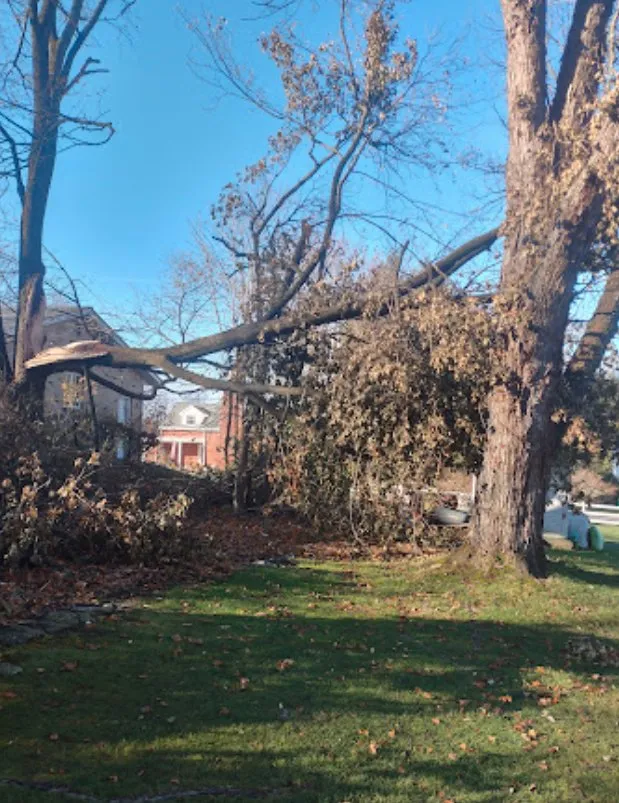 Affordable outdoor landscaping in Butler, PA by Live Edge Tree & Landscaping Services