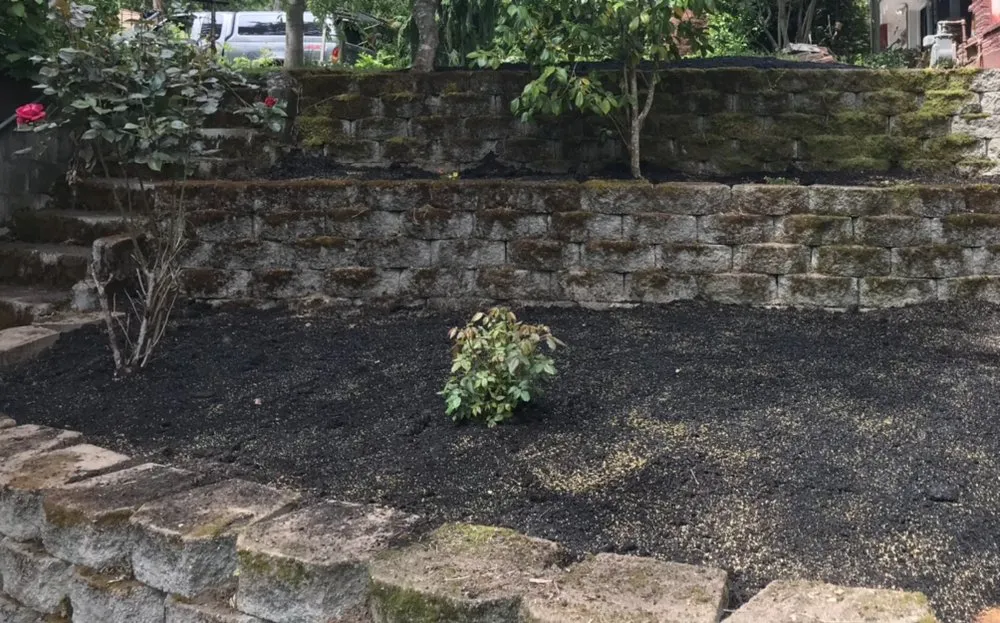 Reliable yard cleanup service with custom design across Hillsboro, OR - Live Free Lawn Care