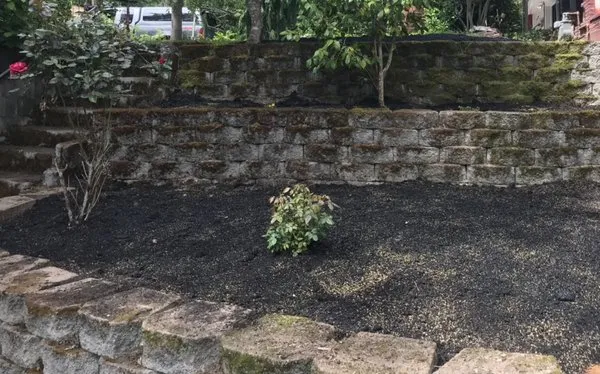 Live Free Lawn Care Logo